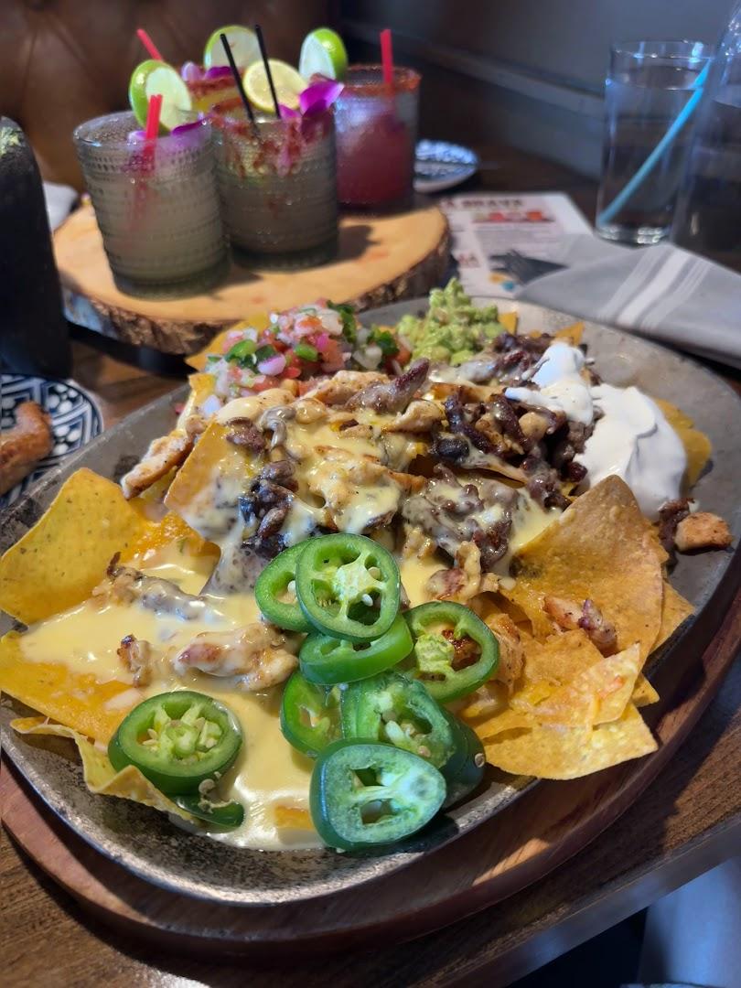 SALSA BRAVA URBAN KITCHEN & CANTINA